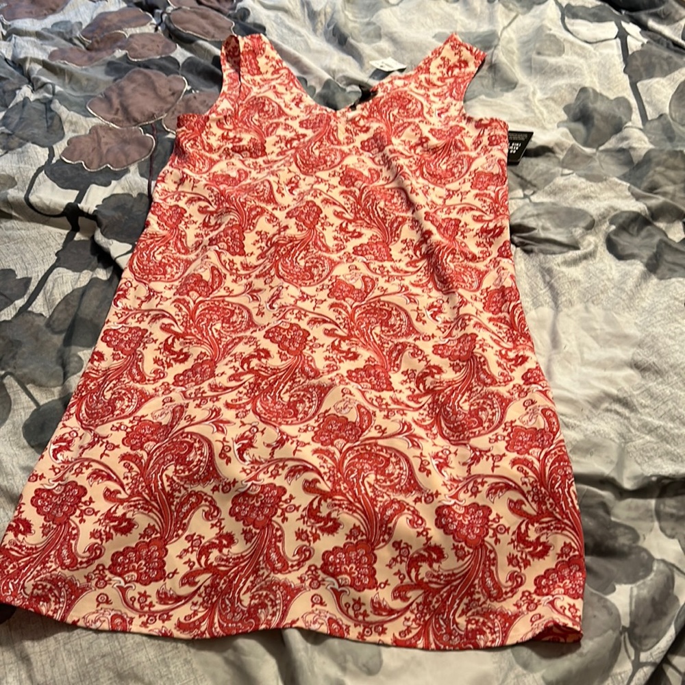 Express spring dress new with tags